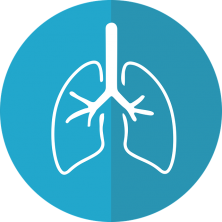 lungs-2803208_640